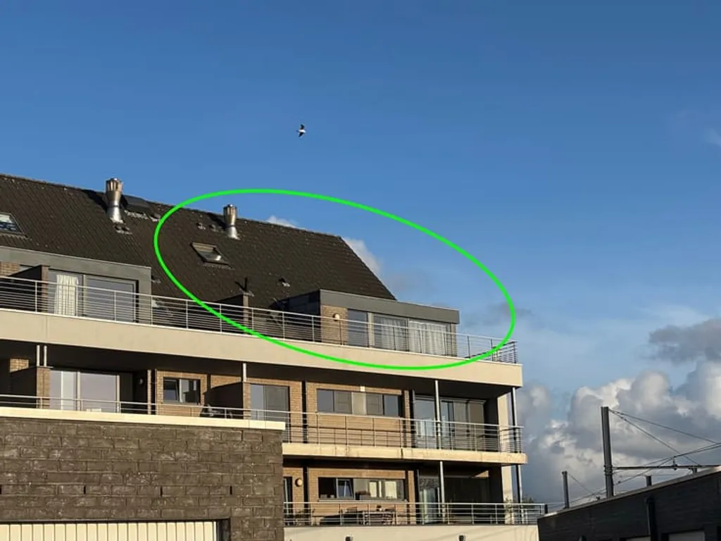 Hoofdfoto Huis in Aalter