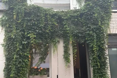 Huis Te Huur Anvers