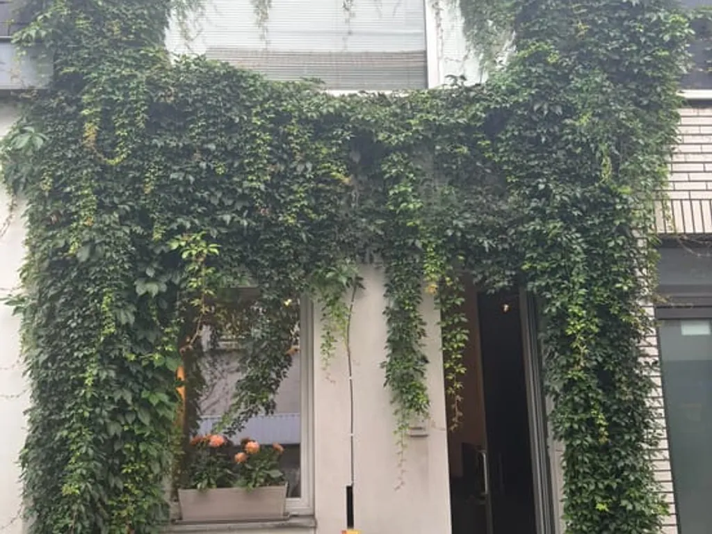 Hoofdfoto Huis in Anvers