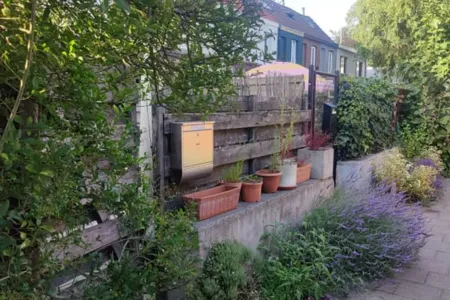 Huis Te Huur Gent