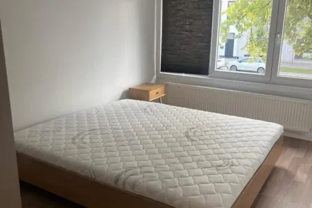 Appartement Te Huur Wommelgem
