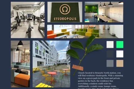 Appartement Te Koop Bruxelles