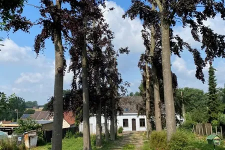 Huis Te Koop Zwalm