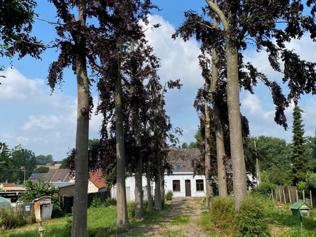 Hoofdfoto Huis in Zwalm