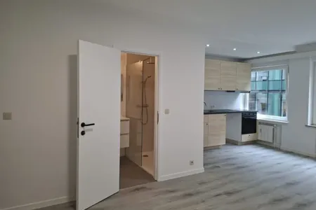 Appartement Te Koop Bruxelles