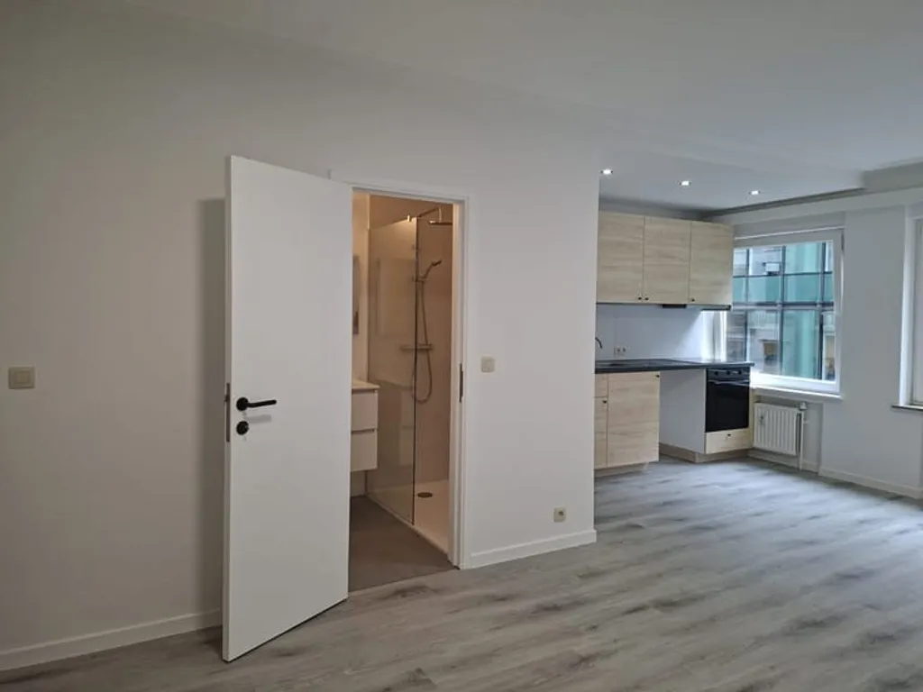 Hoofdfoto Appartement in Brussel