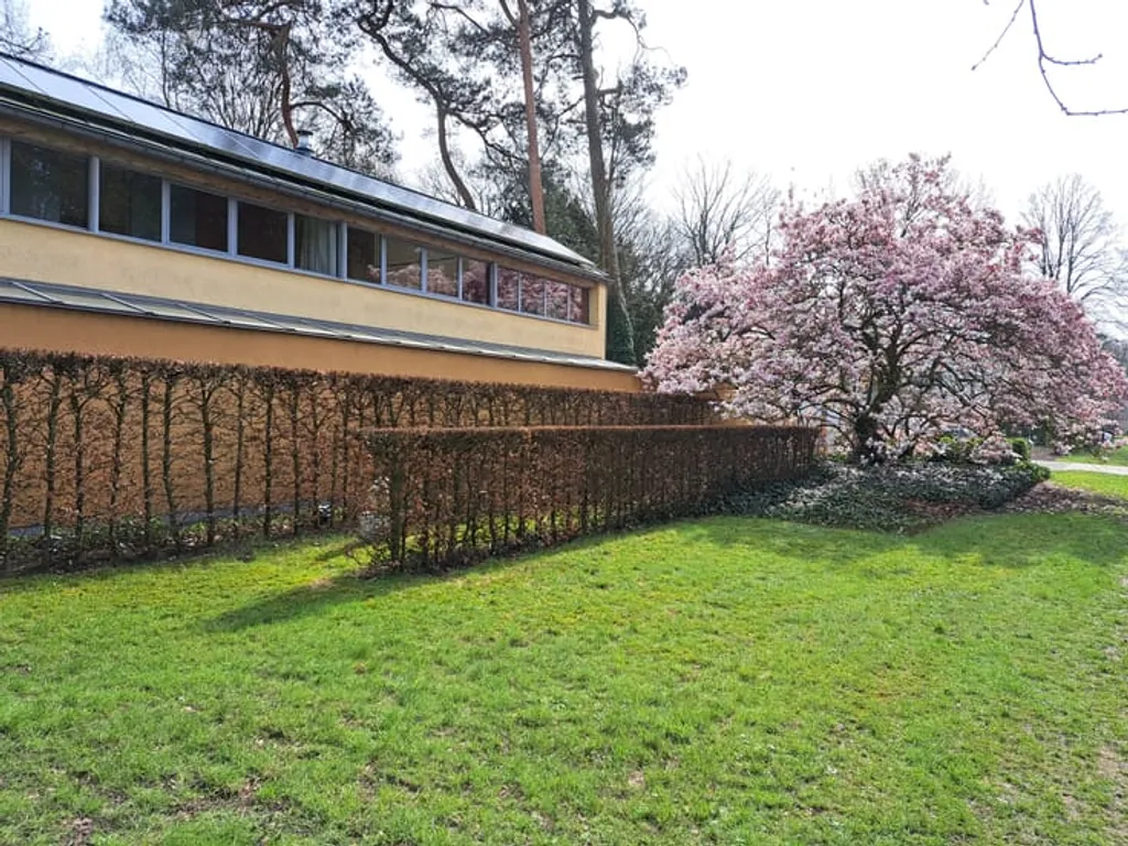 Hoofdfoto Huis in Zoersel