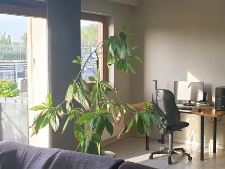 Huis in Dendermonde - Statieplein 38, 9200 - foto 3