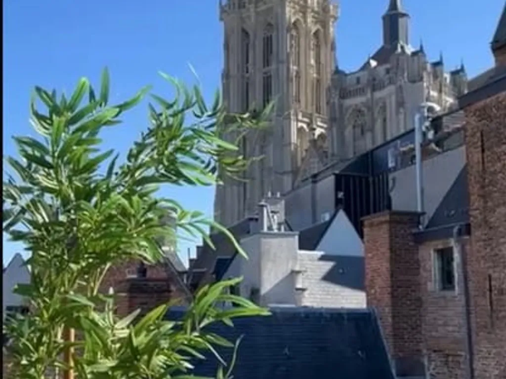 Hoofdfoto Huis in Antwerpen