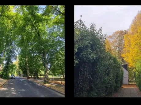 Villa à Uccle - Avenue des Tilleuls 18, 1180 - photo 2