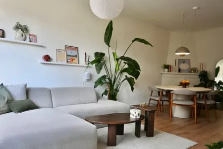 Huis Gearchiveerd Antwerpen