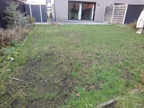 Huis in Westerlo - Olenseweg 208, 2260 - foto 6