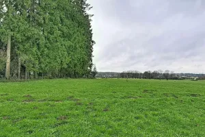 Huis Te Koop Seloignes