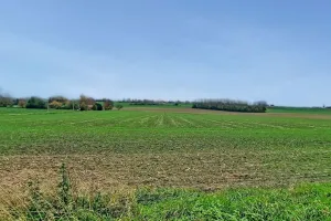 Huis Te Koop Mainvault