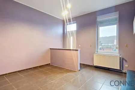 Huis Te Koop Hornu