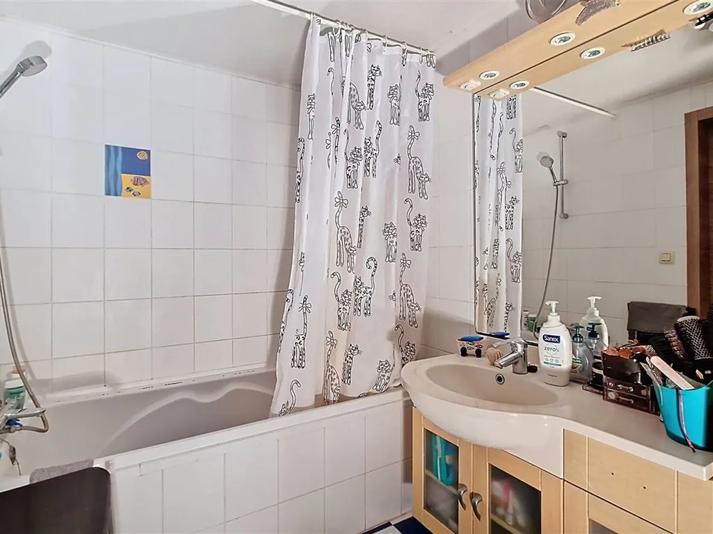 Huis in Sirault - 7668784 - Rue de Chièvres 272, 7332 Sirault