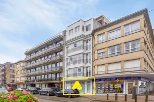 Appartement Te Koop De Panne
