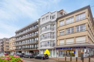 Appartement Te Koop De Panne