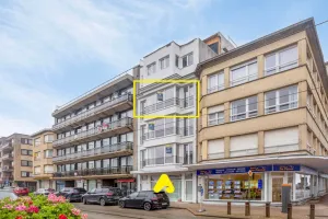 Appartement Te Huur De Panne