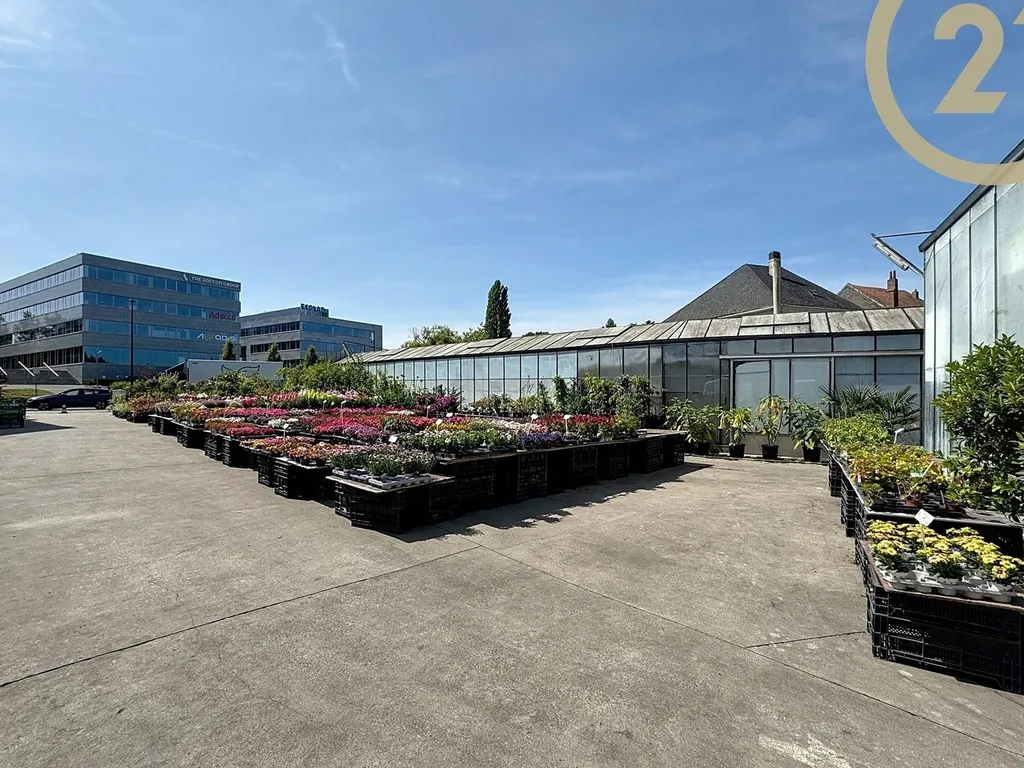 Hoofdfoto Huis in Dilbeek