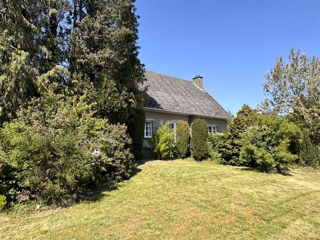 Hoofdfoto Huis in Ronse