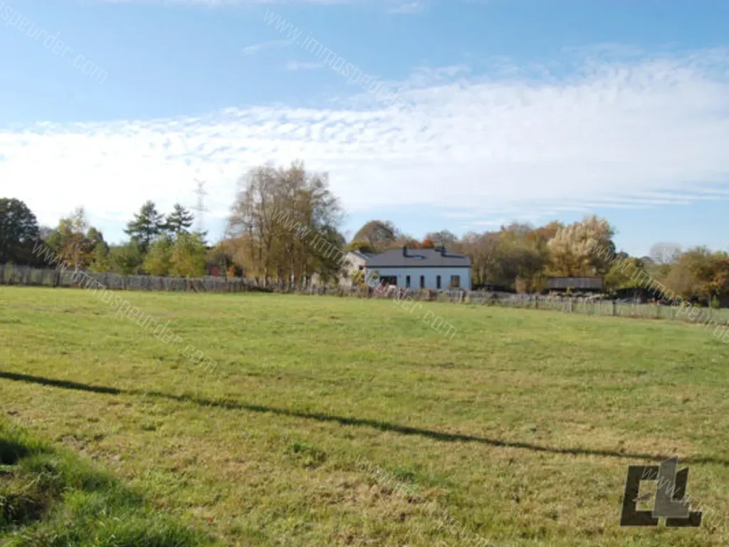 Terrain à Vendre Gouvy