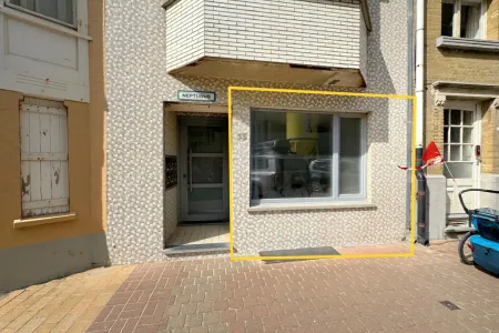 Huis Te Koop De Panne