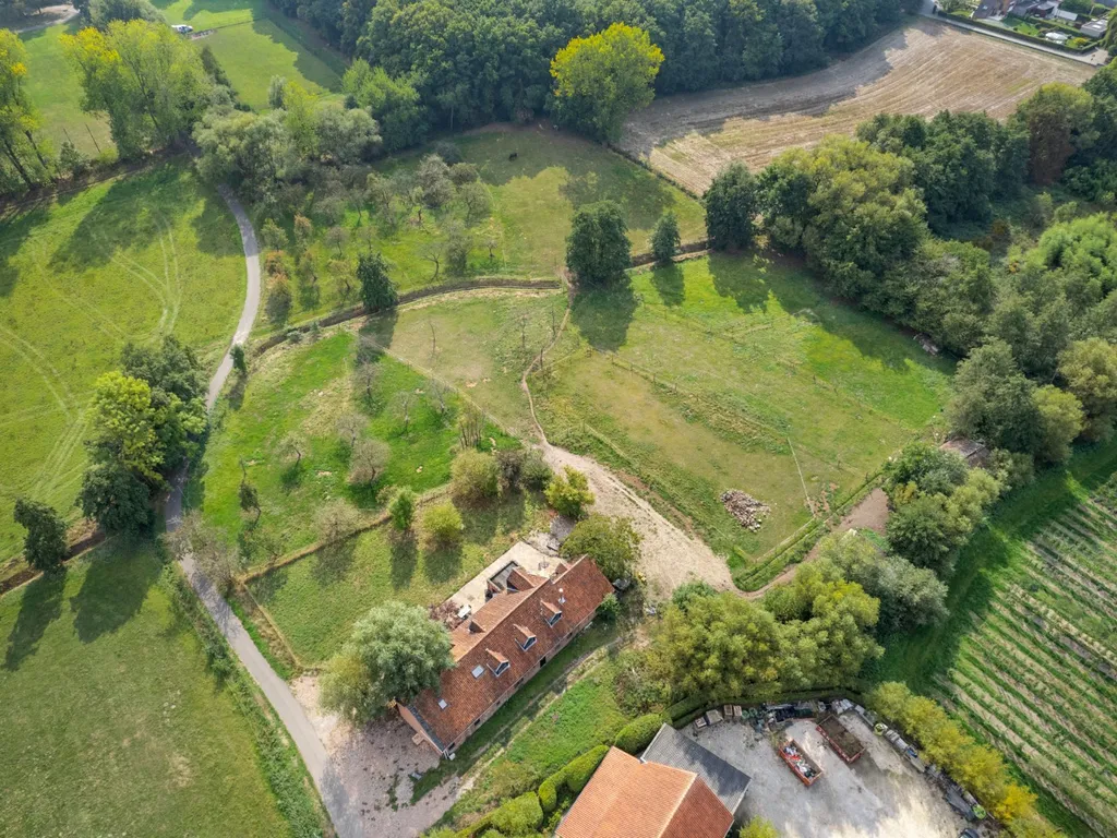 Hoofdfoto Huis in Rumst