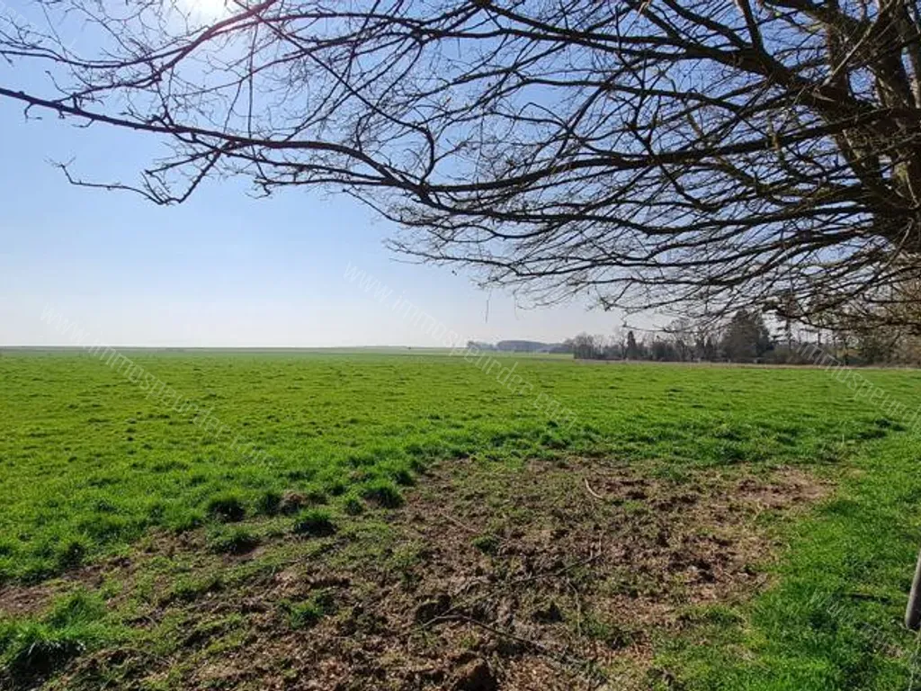 Grond in Genappe - 1161659 - Chemin du Tilleul , 1476 Genappe