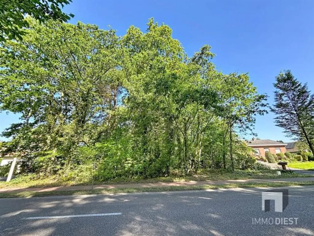 Huis in Tessenderlo-ham - 7680367 - Engsbergseweg 240, 3980 Tessenderlo-Ham
