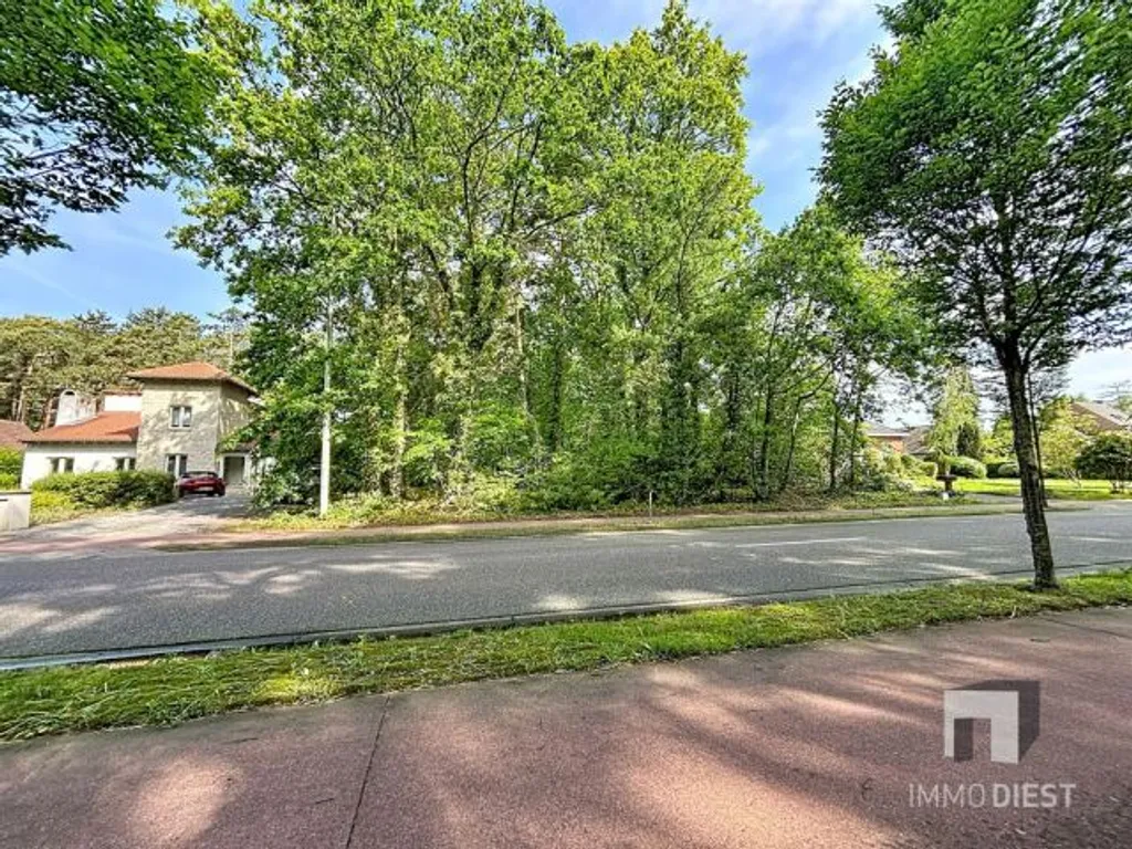 Huis in Tessenderlo-ham - 7680367 - Engsbergseweg 240, 3980 Tessenderlo-Ham