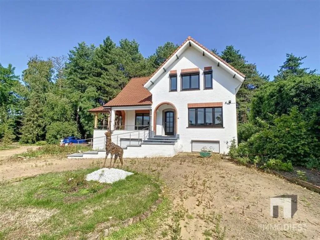 Hoofdfoto Huis in Diest