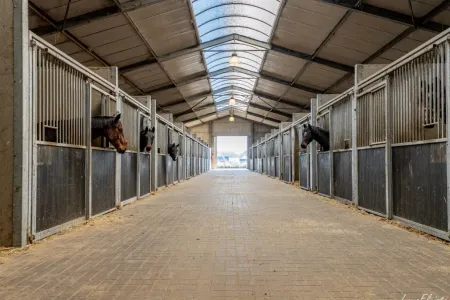 Appartement Te Koop Kampenhout