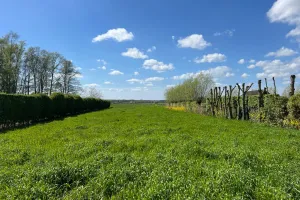 Grond Te Koop Middelburg