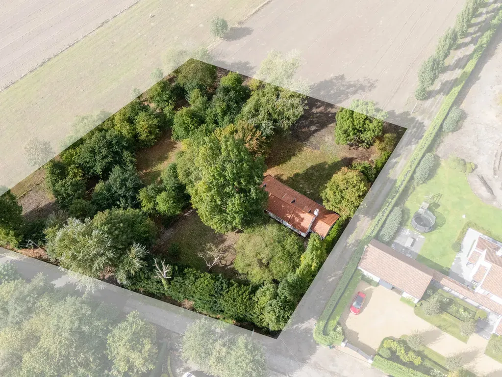 Hoofdfoto Huis in Damme