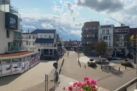 Appartement Te Koop De Panne