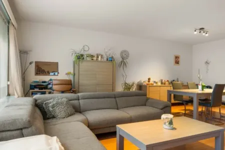 Appartement Te Koop Borsbeek