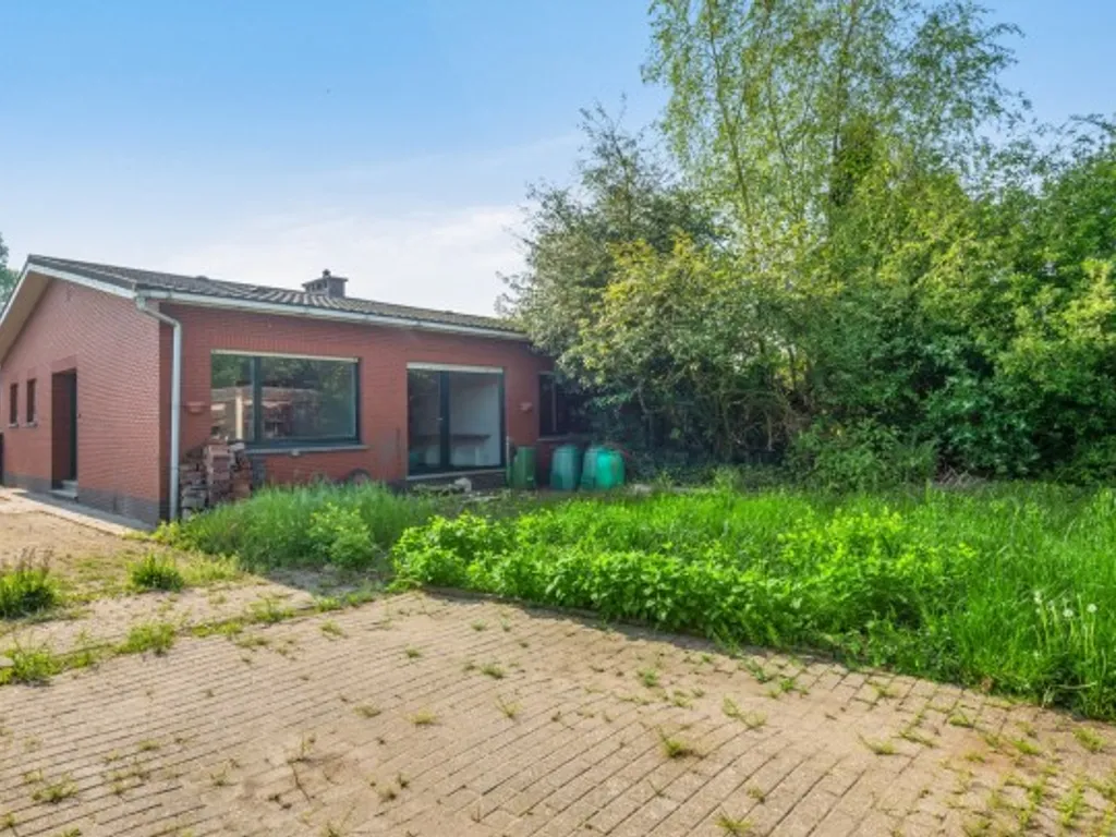 Hoofdfoto Huis in Zandhoven