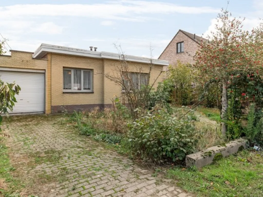 Hoofdfoto Huis in Ranst
