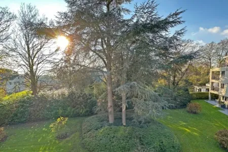 Appartement Te Huur Wommelgem