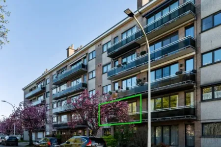 Appartement Te Koop Borsbeek