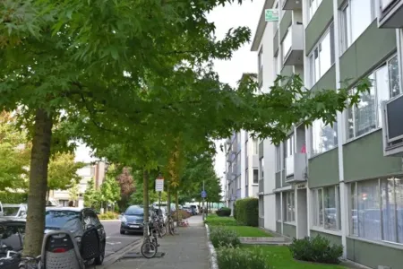 Appartement Te Huur Borgerhout