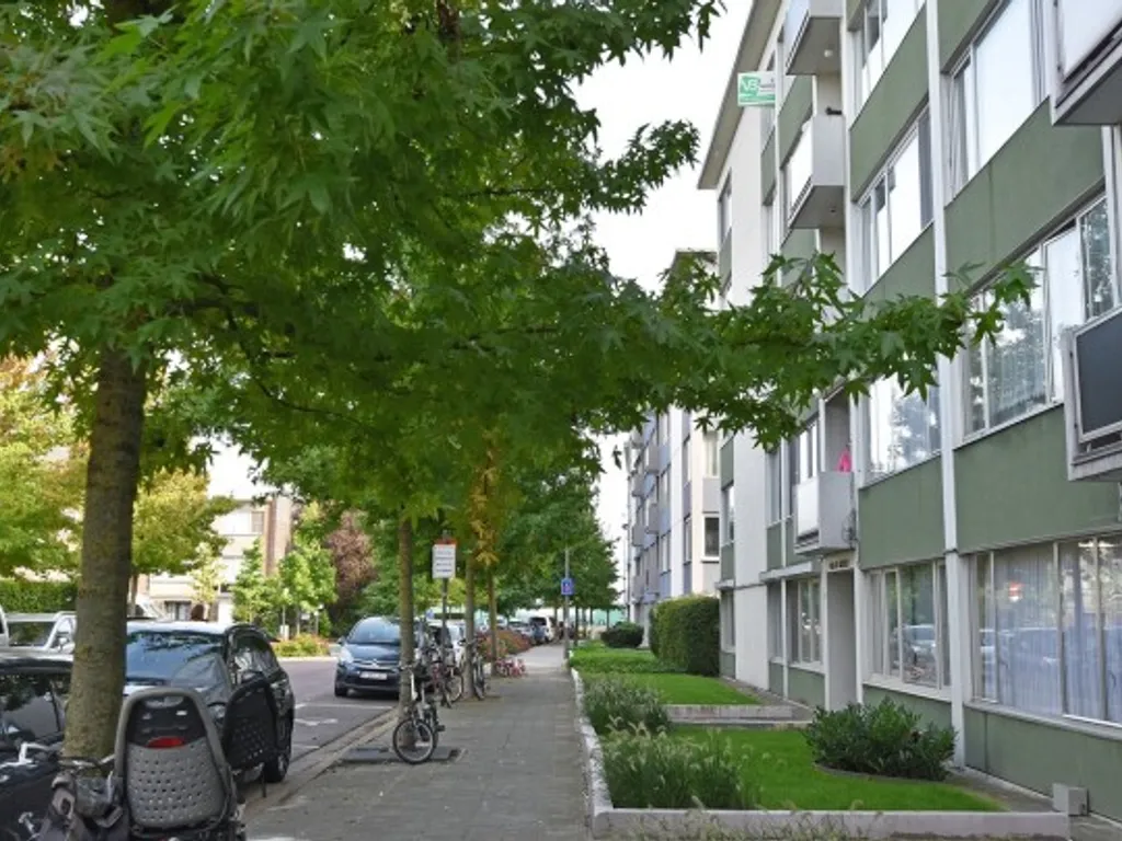 Hoofdfoto Appartement in Borgerhout