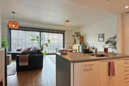 Appartement Te Huur Wijnegem