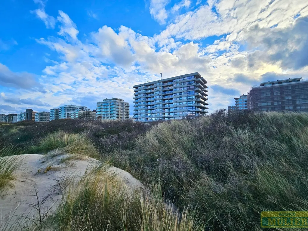 Hoofdfoto Studentenkot in De Panne