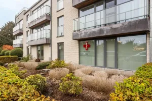 Handelspand Te Koop Denderleeuw