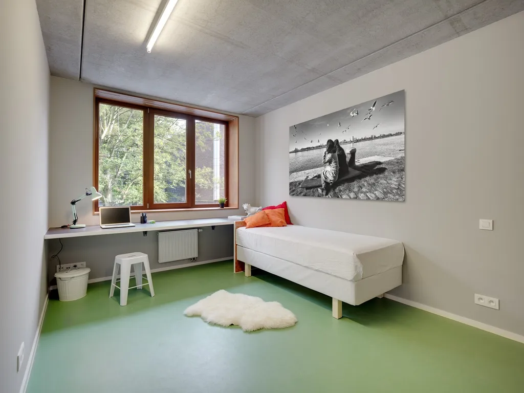 Hoofdfoto Huis in Antwerpen