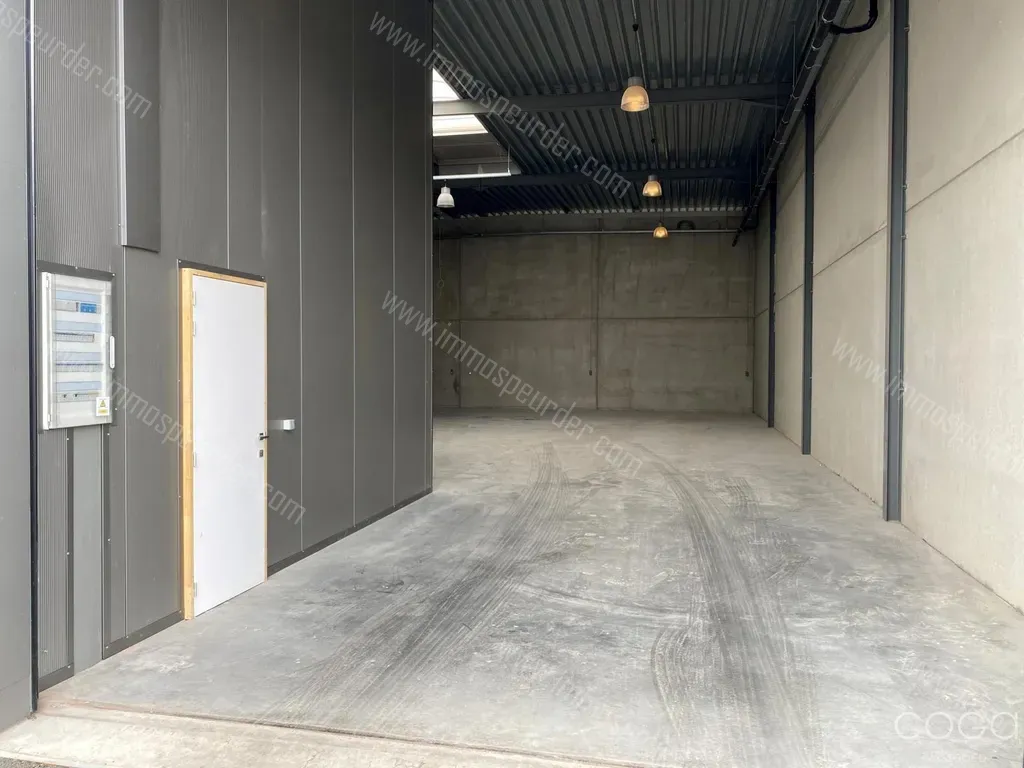 Kantoor in Hoogstraten - 1114866 - Veilingstraat 29, 2320 Hoogstraten
