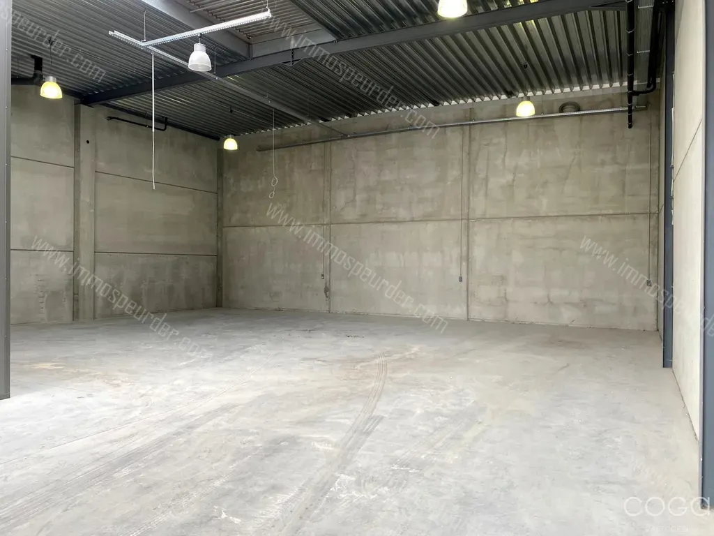 Kantoor in Hoogstraten - 1114866 - Veilingstraat 29, 2320 Hoogstraten