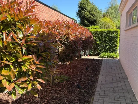 Huis in 's-gravenwezel - Jachthoornlaan 46, 2970 - foto 4